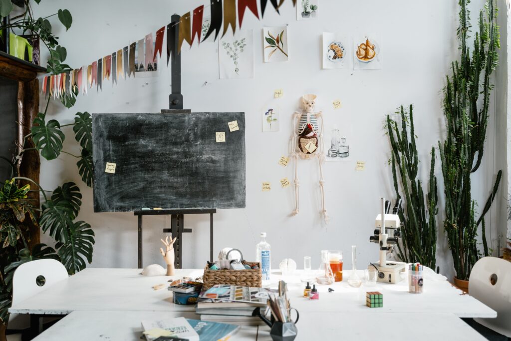 Explore a creatively decorated classroom with anatomical models, plants, and science equipment.